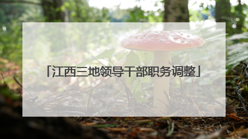 江西三地领导干部职务调整