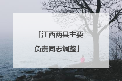 江西两县主要负责同志调整