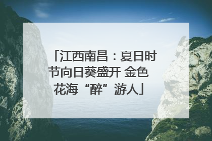 江西南昌：夏日时节向日葵盛开 金色花海“醉”游人