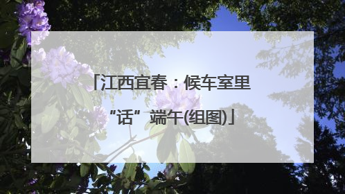 江西宜春：候车室里“话”端午(组图)