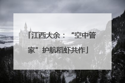 江西大余：“空中管家”护航稻虾共作