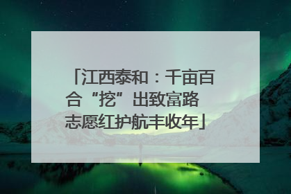 江西泰和：千亩百合“挖”出致富路 志愿红护航丰收年