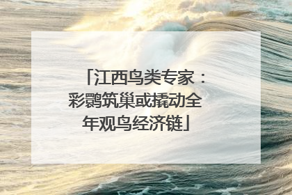 江西鸟类专家：彩鹮筑巢或撬动全年观鸟经济链