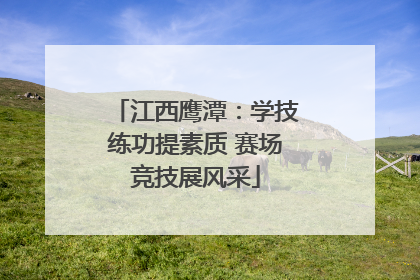 江西鹰潭：学技练功提素质 赛场竞技展风采