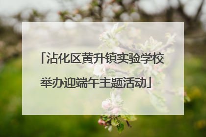 沾化区黄升镇实验学校举办迎端午主题活动