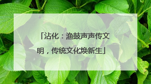 沾化：渔鼓声声传文明，传统文化焕新生