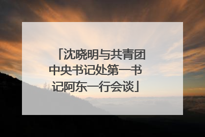 沈晓明与共青团中央书记处第一书记阿东一行会谈