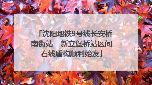 沈阳地铁9号线长安桥南街站—新立堡桥站区间右线盾构顺利始发