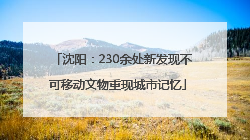 沈阳：230余处新发现不可移动文物重现城市记忆