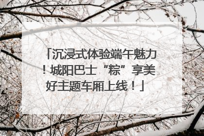 沉浸式体验端午魅力！城阳巴士“粽”享美好主题车厢上线！