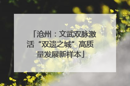 沧州：文武双脉激活“双遗之城”高质量发展新样本