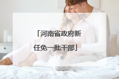 河南省政府新任免一批干部