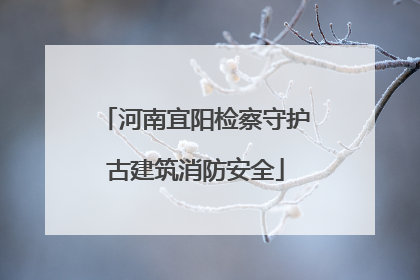 河南宜阳检察守护古建筑消防安全