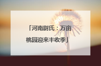 河南尉氏：万亩桃园迎来丰收季