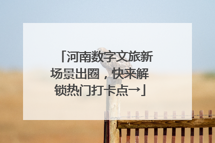 河南数字文旅新场景出圈，快来解锁热门打卡点→