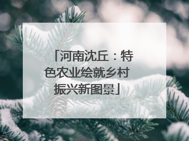 河南沈丘：特色农业绘就乡村振兴新图景