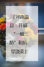 河南温县：开展“一喷三防”和抗旱浇麦