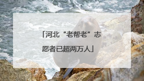 河北“老帮老”志愿者已超两万人
