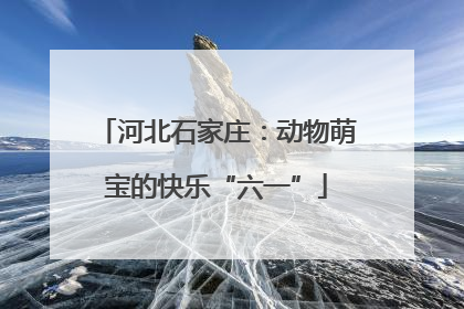 河北石家庄：动物萌宝的快乐“六一”