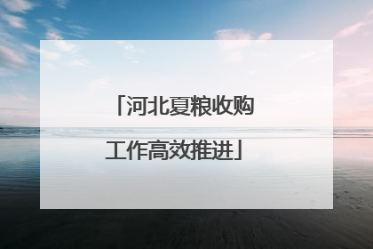河北夏粮收购工作高效推进