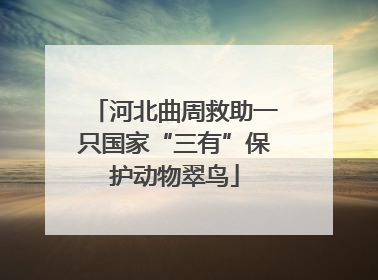 河北曲周救助一只国家“三有”保护动物翠鸟