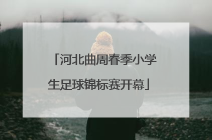 河北曲周春季小学生足球锦标赛开幕