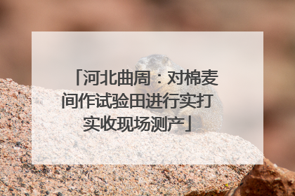 河北曲周：对棉麦间作试验田进行实打实收现场测产