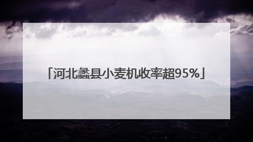 河北蠡县小麦机收率超95%