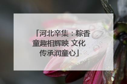 河北辛集：粽香童趣相辉映 文化传承润童心