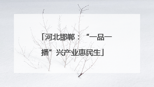 河北邯郸：“一品一播”兴产业惠民生