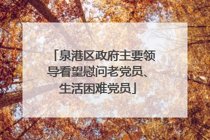 泉港区政府主要领导看望慰问老党员、生活困难党员