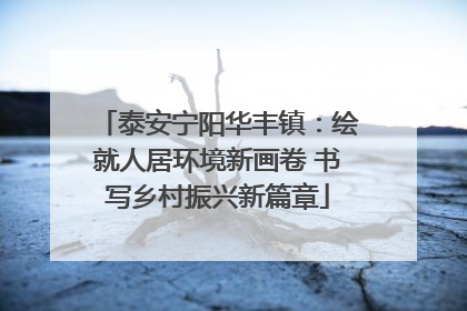 泰安宁阳华丰镇：绘就人居环境新画卷 书写乡村振兴新篇章