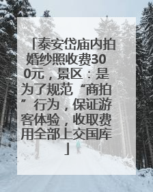 泰安岱庙内拍婚纱照收费300元，景区：是为了规范“商拍”行为，保证游客体验，收取费用全部上交国库