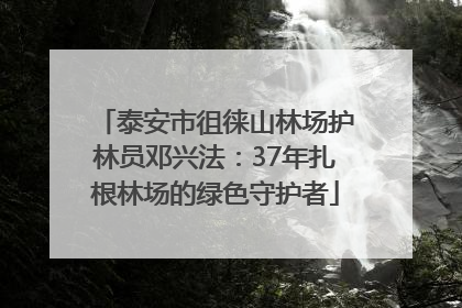 泰安市徂徕山林场护林员邓兴法：37年扎根林场的绿色守护者