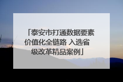 泰安市打通数据要素价值化全链路 入选省级改革精品案例