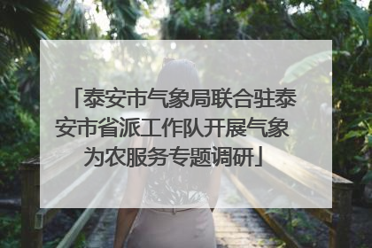 泰安市气象局联合驻泰安市省派工作队开展气象为农服务专题调研
