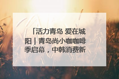 活力青岛 爱在城阳｜青岛尚小咖咖啡季启幕，中韩消费新场景点燃夏日热情
