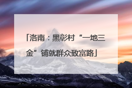 洛南：黑彰村“一地三金”铺就群众致富路