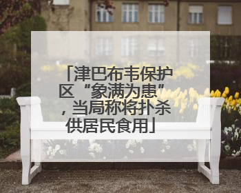 津巴布韦保护区“象满为患”，当局称将扑杀供居民食用