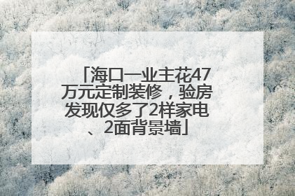 海口一业主花47万元定制装修，验房发现仅多了2样家电、2面背景墙
