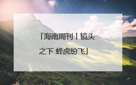 海南周刊丨镜头之下 蜂虎纷飞