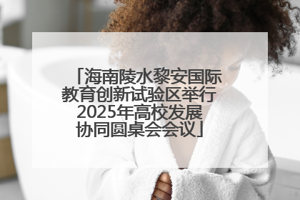海南陵水黎安国际教育创新试验区举行2025年高校发展协同圆桌会会议