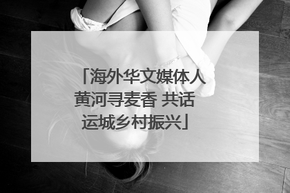海外华文媒体人黄河寻麦香 共话运城乡村振兴