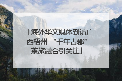 海外华文媒体到访广西梧州 “千年古郡”茶旅融合引关注