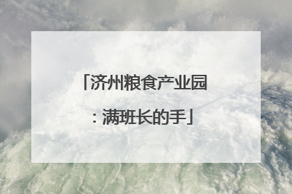 济州粮食产业园：满班长的手
