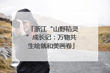 浙江“山野精灵”成长记：万物共生绘就和美画卷
