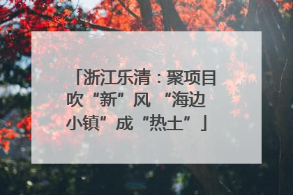 浙江乐清：聚项目吹“新”风 “海边小镇”成“热土”