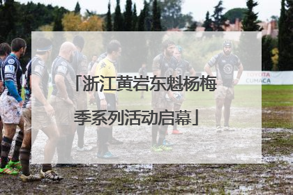 浙江黄岩东魁杨梅季系列活动启幕