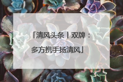 清风头条丨双牌：多方携手扬清风
