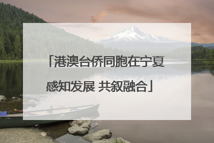港澳台侨同胞在宁夏感知发展 共叙融合
